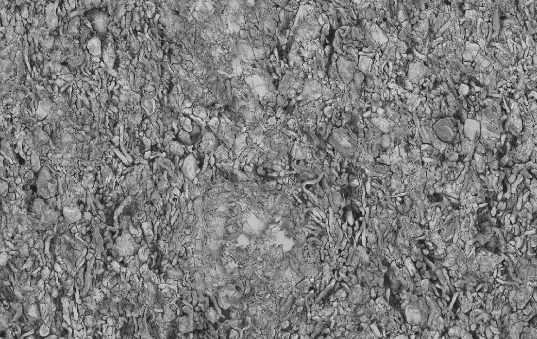 Analysis of Roller Compaction for an Avicel MCC Formulation